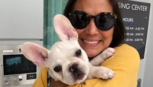 Fundraiser for Stacey Pearo by Loren Sanders : Help Stacey Pearo Save More  Animals