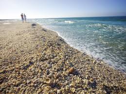 There are many intimate locations for bonding in sanibel island, such as blind pass beach, a quiet beach for shelling and fishing, and the sanibel island art galleries, which features a range of striking artistic creations. The World S Best Beaches For Hunting Seashells Travel Channel Blog Roam Travel Channel