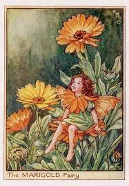 Pin On Cicely Mary Barker Fairies