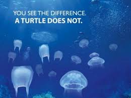 Recycling To Reduce Plastic Waste Poverty The Plastic Bank Save Earth Ocean Pollution Save Our Oceans