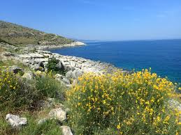 Rendezés népszerűség szerint sort by latest rendezés ár szerint: Elmenybeszamolo Csaladi Nyaralas Albaniaban Naturalisa