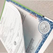 Online birth certificate maker rome fontanacountryinn com. Fake Birth Certificate Maker Online Fake Birth Certificate Maker Threeroses Us Astrid S Corner