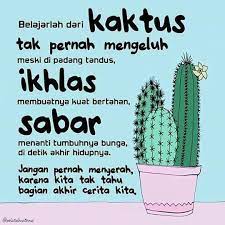 See more of kata.kaktus on facebook. 35 Ide Kata Kata Motivasi Tentang Bunga Kaktus Lucy Feng