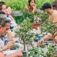 Bonsai Workshop at Valor Wines event image