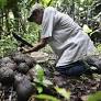 Indígenas de la Amazonía rechazan la Ley 157 y denuncian aprobación sin consulta a los pueblos
