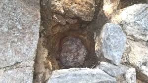 Imagining a human fired from a cannon just like a cannonball is quite odd. English Civil War Cannonball Found In Castle Wall Bbc News