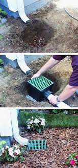Pin By Diane Roussel On Cookies Backyard Landscaping Front Yard Backyard
