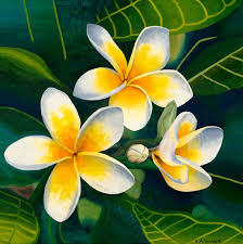 Http Elisabethhowlett Com Au Wp Content Uploads 2015 07 Frangipani Oil On Canvas Elisabeth Howle Acrylic Painting Flowers Flower Painting Oil Pastel Drawings