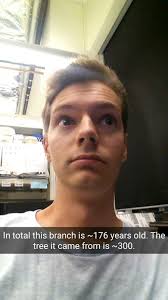 In Vivo Bonsai: A Lesson in Dendrochronology