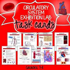 Circulatory System Exhibition Stations Circulatory System Task Cards Life Science Lessons