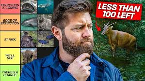 Squat everyday Day 1127: They don't get it