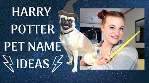 Ginny is cool, calm, and collected in times of danger, which makes up. Dog Name Ideas From The Harry Potter Universe Harry Potter Pet Names Youtube