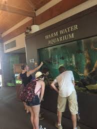 Water, Wilderness and Wildlife