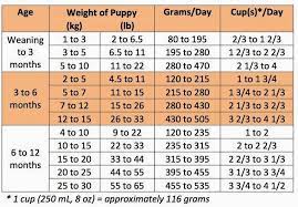 How much should i feed a puppy. How Much And How Often To Feed A Puppy Rosy And Rocky Pet Supply Http Www Pinterest Com Rosyan Puppy Feeding Guide How Often To Feed A Puppy Puppy Training