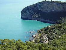 Die landschaft des parks ist überwiegend flach und mit büschen, gras, sanddünen und großen bäumen bedeckt. Algerien Wikipedia