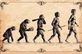 The Crazy Way Creationists Try To Explain Human Tails Without Evolution