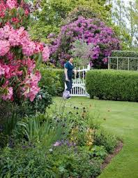 Sichtschutz Hecke Im Garten Rhododendren Pink Tor Weiss Garten Zierpflanzen Wachsenden Pflanzen
