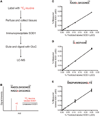 Schematic Of Sod1 Isolation And Mass Spectrometry Detection