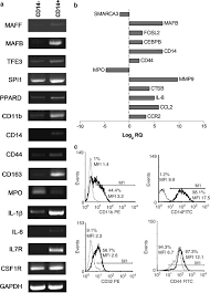 Plus de 12 ans actif sur 2ememain. Correlation Between Differentiation Plasticity And Mrna Expression Profiling Of Cd34 Derived Cd14 And Cd14 Human Normal Myeloid Precursors Cell Death Differentiation
