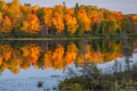 Maybe you would like to learn more about one of these? 20 Best State Parks In Wisconsin To Visit In 2021 Paulina On The Road