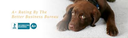 Maybe you would like to learn more about one of these? Carpet Cleaners Serving Perrysburg Bowling Green And Findlay Ohio
