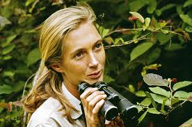 Downloads Jane Goodall 90 for Kids