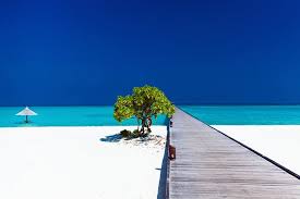15 Best Tropical Vacations Planetware Search vacation packages deals in u.s.