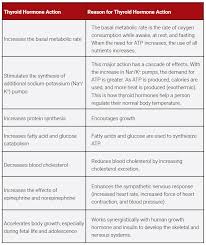 Image result for Thyroid Function Summary