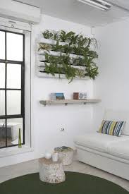 Our product lines include buy vases online, buy pots online, buy planters online at the best price. Plant Decor Is Living Art Kenisa Home