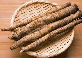 Burdock – ISLAND ORGANICS BALI
