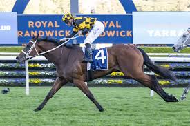 Just Horse Racing - News update