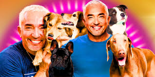What Happened To Cesar Millan After His Show Dog Whisperer Ended?