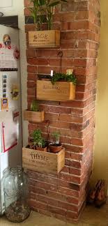 Epingle Par Therugseller Co Uk Sur Plants Mur D Herbe Jardin Interieur Deco Exterieure