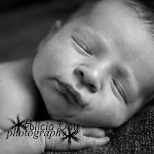 Alicia Day Photography