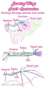 Drawing Wings Starla S Art Studio Wings Drawing Angel Wings Drawing Wings Art