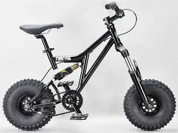 Mongoose Index 2 0 20 Freestyle Bike Silver Mini Rig Bmx Bikes For Sale Bmx Bikes