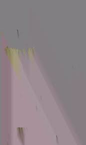 Image result for Rhytachne robusta