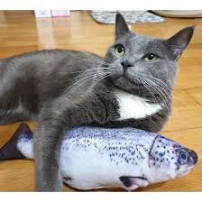 Realistic Moving Fish Cat Toy In 2020 Cat Toys Fish Cat Toy Love Your Pet