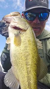 Vexan Bass Rods 🔥 #bassfishing #smallmouthbass #smallmouth #smallies  #bassrods #vexanfishing #vexanrods Wade Corey Werner II