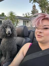 Fresno Lost/Found Pets, and Rescue Network