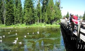 Maybe you would like to learn more about one of these? Big Springs Montana Alltrips