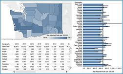 Mortality Dashboards Washington State Department Of Health