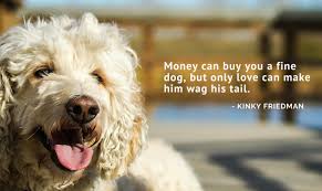 Phoenix dog training dog obedience trainers have decades of experience, they are not new inexperience trainers like large facilities employ. 100 Of The Best Dog Inspired Quotes Puppy Leaks