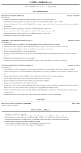 Don't forget to fill it up with your information, it's important to gather all your work experience once you download the cv format so you can start customizing it in word. Document Control Manager Resume Sample Mintresume