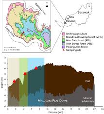 Among the states and federal territories, sarawak was the first to vaccinate over one million of its citizens with the first dose, inoculating 1.03 million individuals — or 36.6% of its population — as of yesterday. Linking Prokaryotic Community Composition To Carbon Biogeochemical Cycling Across A Tropical Peat Dome In Sarawak Malaysia Scientific Reports