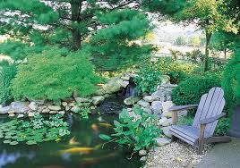 Making a backyard fish pond will not only give you hours of enjoyment, it will also increase the value of your house. Build A Backyard Fish Pond Without Going Belly Up Houzz Nz