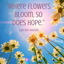 Check spelling or type a new query. Where Flowers Bloom So Does Hope Art Collectibles Painting Baby Land Co Il