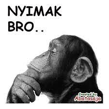 Misalnya saja dalam membikin stiker wa dengan foto kamu sendiri. Stiker Monkey Lucu Wastickerapps Apps Bei Google Play