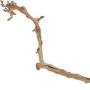 Wood Branch from www.amazon.com