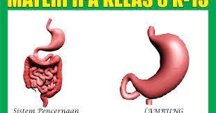 Check spelling or type a new query. Materi Pelajaran Ipa Kelas 8 Kurikulum 2013 Semester 1 2